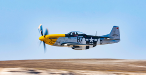 Mustang p51d frankie
