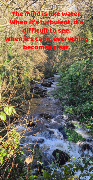 River and mindful quote