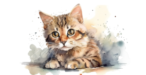 Cat 2 watercolour