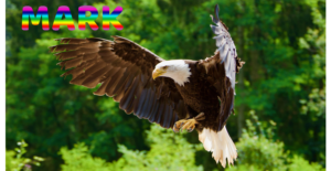 Eagle flying name