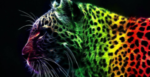Rainbow leopard